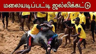 Trichy Manapparai Malayadipatti Jallikattu | மணப்பாறை மலையடிப்பட்டி ஜல்லிக்கட்டு