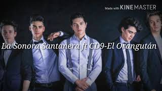 La Sonora Santanera ft CD9- El Orangután lyrics