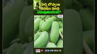 పచ్చి బొప్పాయి తినడం వలన ఏమవుతుందంటే? | Benefits of Raw Papaya | CVR Health