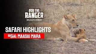 Safari Highlights #514: 06th December 2018 | Maasai Mara/Zebra Plains | Latest #Wildlife Sightings