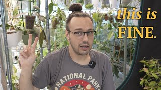 how not to lose your mind dealing with pests 😵‍💫 | join me while I inspect my Hoya 🕵🏻‍♂️