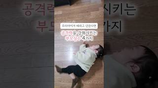 #shorts 공격력을 강화시키는 부모실수 4가지