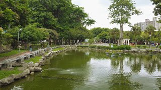 清涼樹蔭 北屯兒童公園人工湖 _  Dji Mavic Mini [2.7k] ,  Drone Footage