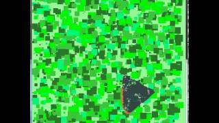 Probabilistic forest fire simulation
