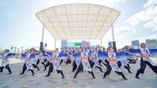 [4K] 神戸大学よさこいチーム山美鼓　神戸アライブ 2019　2日目　～ KOBE ALIVE  神戸新舞 ～