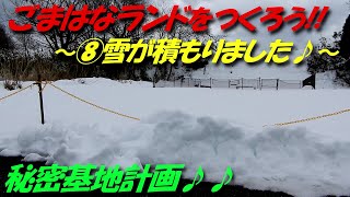 【秘密基地】ごまはなランドをつくろう!!⑧ 雪が積もりました!!ドッグランは銀世界に♪♪