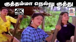 Kuthamma Nellu இசைஞானி இசையில் K.S.சித்ரா குழுவினர் பாடிய நாட்டுப்புற பாடல் குத்தம்மா நெல்லு குத்து