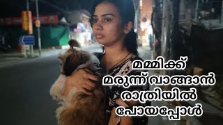 Night Vlog മമ്മിക്ക് മരുന്നു വാങ്ങാൻ രാത്രിയിൽ പോയപ്പോൾ 😲