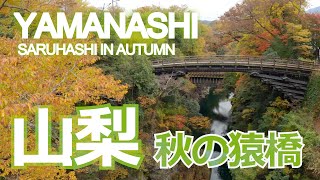 山梨：秋の猿橋　／　Yamanashi: Saruhashi In Autumn