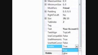 How To Make a Fake Program On Visual Basic 2008