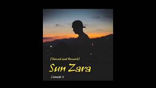 Sun Zara | Slowed and Reverb | Bollywood Rewind | Adnan Sami | Jainesh V