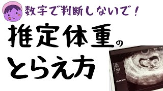 お腹の子は大きめ？小さめ？　推定体重の見かた