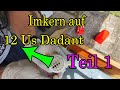 Jupp Imkert auf Us 12 Dadant Teil 1 ;-)