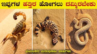 Top 5 Dangerous Desert Animals | Weird Animals | Part-2 | Unknown Facts in Kannada | VismayaVani