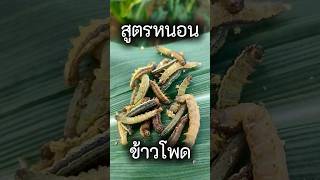 สูตรกำจัด หนอนข้าวโพด #เคมีเกษตร #ชาวไร่ #ข้าวโพดหวาน #ข้าวโพดหลังนา #ข้าวโพดเลี้ยงสัตว์ #หนอน