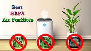 Best True HEPA Air Purifier For Large Rooms
