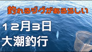 【ジギング】良く釣れるジグがある　１２月３日大潮釣行　Japanese boat fishing【タイラバ】