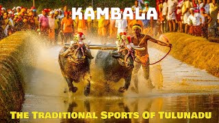 Kambala -The Traditional sports of Tulunadu #prakrithivlog  #kambala #tulunadu #tuluculture