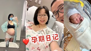 PREGNANCY DIARY | 孕16周～38周的点滴记录 📝 欢迎新生命的到来 ❤️