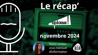 Laitik, un lait breton pas si éthique ? | Le récap' de novembre 2024