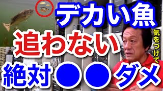 【村田基】デカい魚は●●するとルアーを追うのを止めてしまいます。村田さんが言うデカい魚がルアーを追うのを止めてしまう事とは一体なに！？【村田基切り抜き】