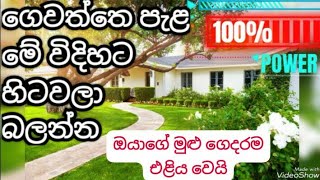 ගෙවත්තේ පැළ මේ විදිහට හිටවලා බලන්න 🌿ඔයාගේ මුළු ගෙදරම එළිය වෙයි