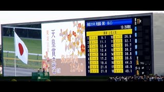 【現地映像】第166回_天皇賞秋(東京競馬場:2022/10/30)