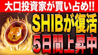 【シバコイン】大口投資家が6.5兆以上のSHIBを購入！いよいよ復活の兆しが！【仮想通貨】【シバイヌ】【ドージ】【ソラナ】【イーサリアム】【ビットコイン】【SHIB】【DOGE】【ETH】【SOL】