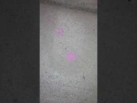 How to remove oil based paint from cement How to remove oil based paint from cement
