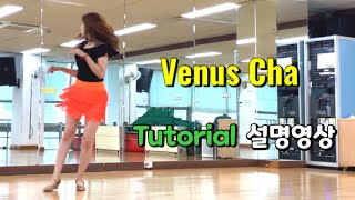 Venus Cha/ Tutorial/ 설명영상