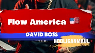 Flow America - David Boss (producer Hooliganmaul)