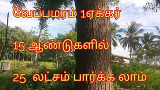 neem  tree   வேப்பமரம் 15  ஆண்டுகளில்  20 லட்சம்