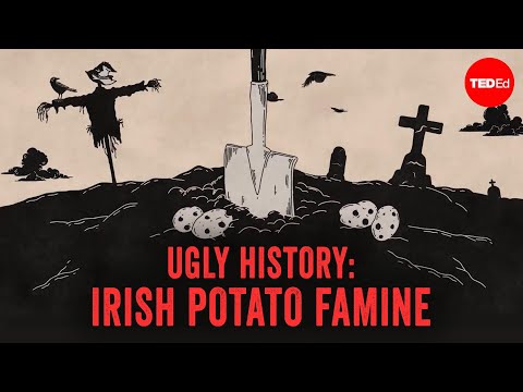 Why did the Irish rely on potatoes?