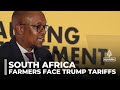 South Africa’s farmers hit hard by US tariffs under Trump