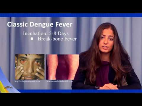 Dengue Hemorrhagic Fever Dengue Hemorrhagic Fever