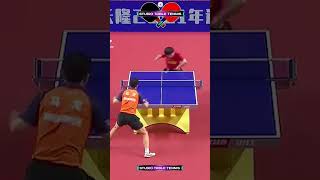 Deadly Topspin Backhand Lin Yun-ju #pingpong  #sports #tabletennis