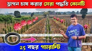 ড্রাগন চাষ করা সেরা পদ্ধতি কোনটি | Dragon Trellies wire | Argosia Pet Wire | Dragon Fruit Structure