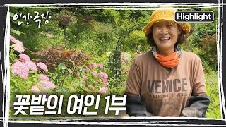 정희 씨의 꽃밭에 로즈골드에 가까운 색 꽃들이 심어져 있는 이유는? [인간극장] | KBS 20240729 방송