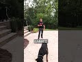 the e collar is the key to reliable off leash training