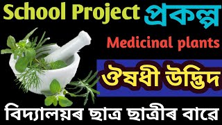 ঔষধি উদ্ভিদ।Medinal Plants of Assam #ঔষধি উদ্ভিদৰ বিষয়ে ৰচনা #medicinal plants @EXAM Q ASSAM