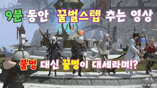 [파판14/FFXIV] 꿀벌스텝 멍 때리러 드루와! (for healing bee's knees)