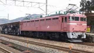 ＥＦ８１工臨　貨物待避～発車　新疋田駅 にて