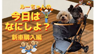 ルーちゃん今日はなにしよ？新車購入編 【関西弁でしゃべる犬】#354  Luke's Today's New car purchase 【Dog talking 】#skisopgo