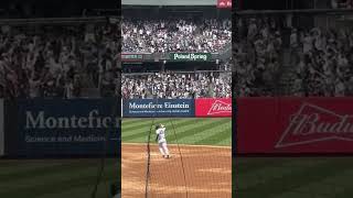 AARON JUDGE bats a HOMERUN for the YANKEES #homerun #yankees #aaronjudge #short