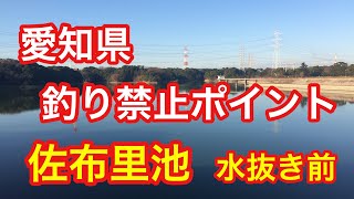 佐布里池  水抜き前   愛知県 釣り禁止ポイント