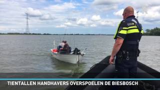 Reportage over de handhavingsdag in de Biesbosch