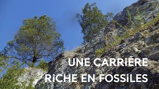 Les carrières de Tercis : un livre ouvert sur l'histoire de la Terre