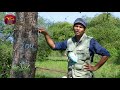 sobadhara sri lanka wildlife documentary 2021 12 03 elephant vs man 2 අලි මිනිස් ගැටුම 2