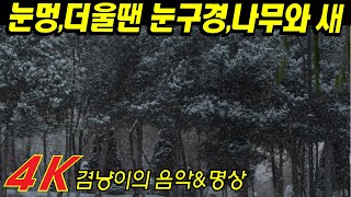 4K)눈멍2,더울때 눈구경,맑은날도 눈구경, 나무와새, 평온함, 마음의 안정