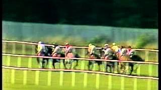 Horse Racing 1988 Irish Champion Stakes  Indian Skimmer